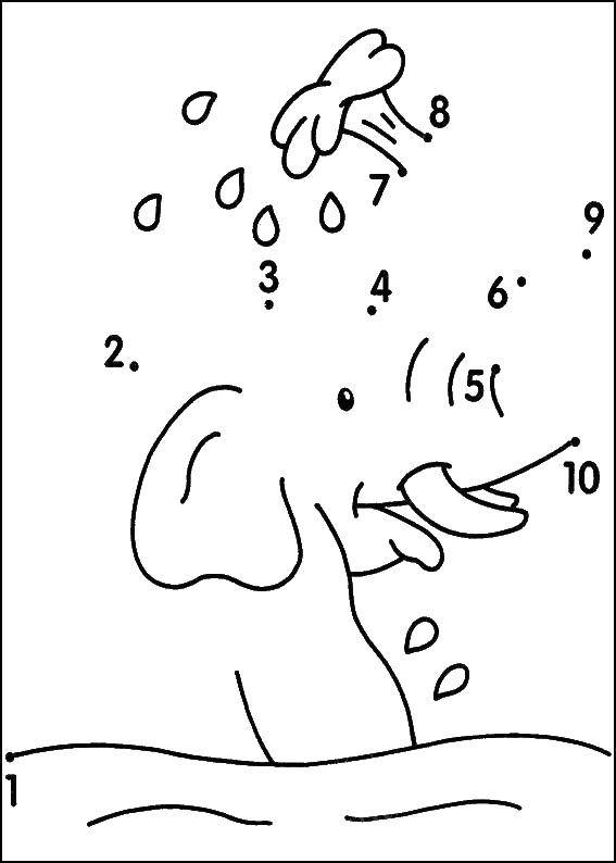 Раскраска Слон купается в воде Скачать обведи по точкам, слон.  Распечатать ,раскраски,