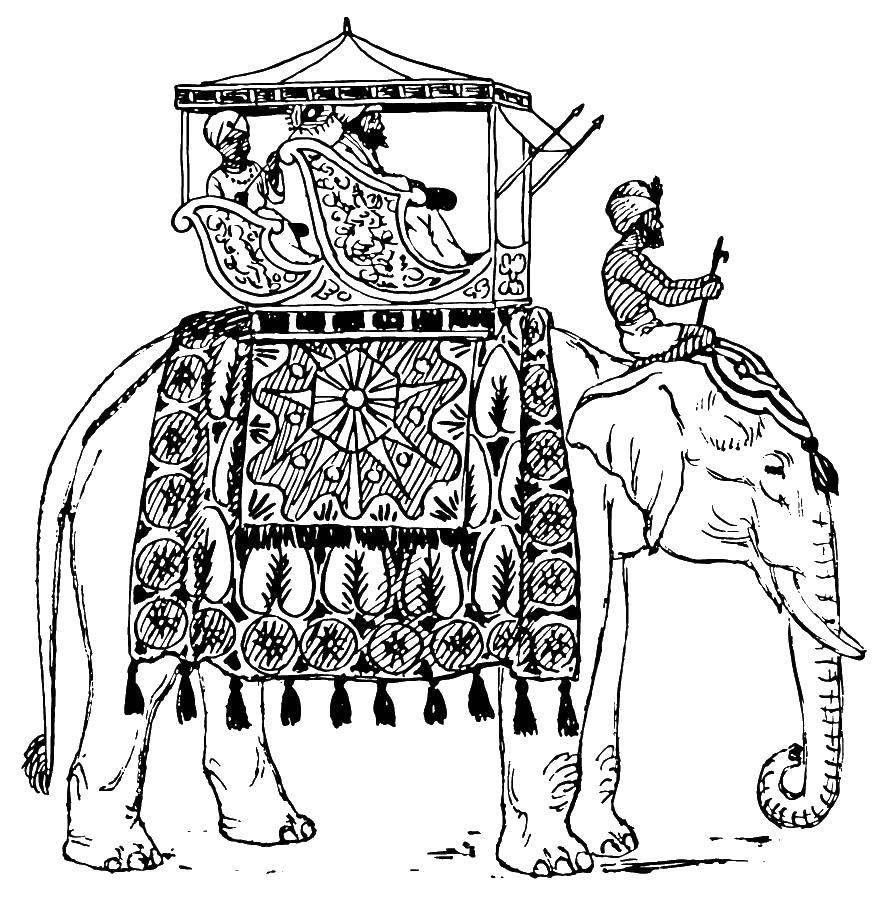 Раскраска Индийский шах Скачать индия.  Распечатать ,раскраски,