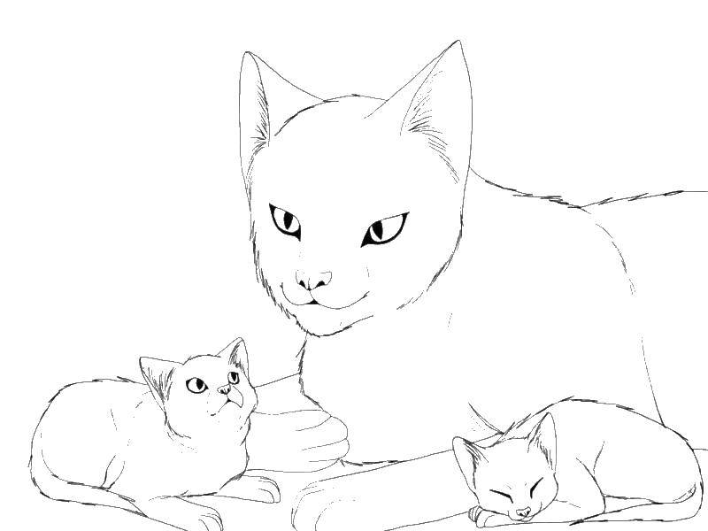 Раскраска Кошка с котятами Скачать животные, кошки, кошка, котята.  Распечатать ,Животные,