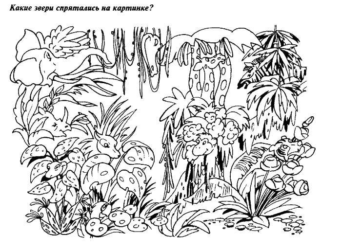 Раскраска Звери спрятались Скачать животные, загадка.  Распечатать ,Животные,