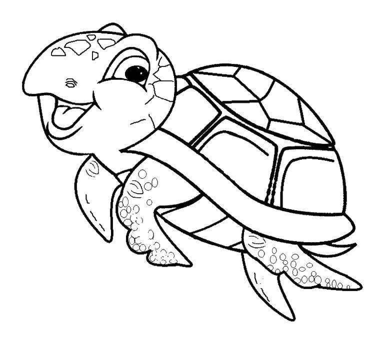 Раскраска Милашка черепашка Скачать Рептилия, черепаха.  Распечатать ,Морская черепаха,