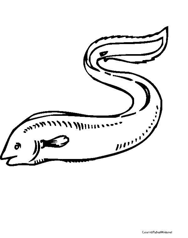 Раскраска Плавучая мурена Скачать Подводный мир.  Распечатать ,раскраски,