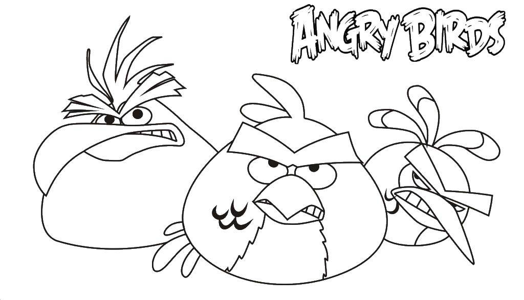 Раскраска Грозные птички Скачать Игры, Angry Birds .  Распечатать ,angry birds,