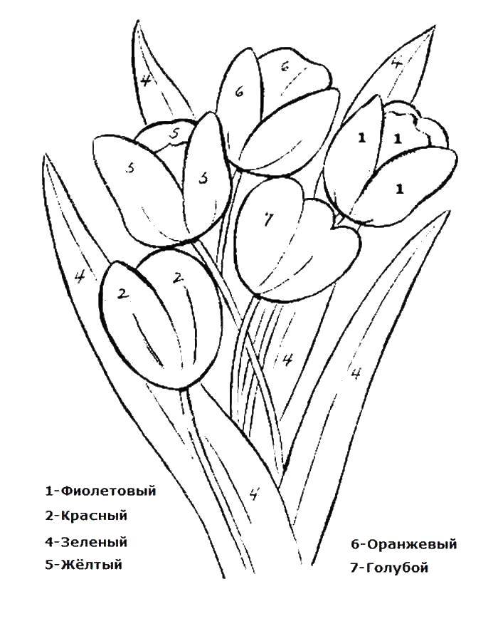 Раскраска Раскрась по номерам тюльпаны Скачать по номерам, цветы, тюльпаны.  Распечатать ,по номерам,
