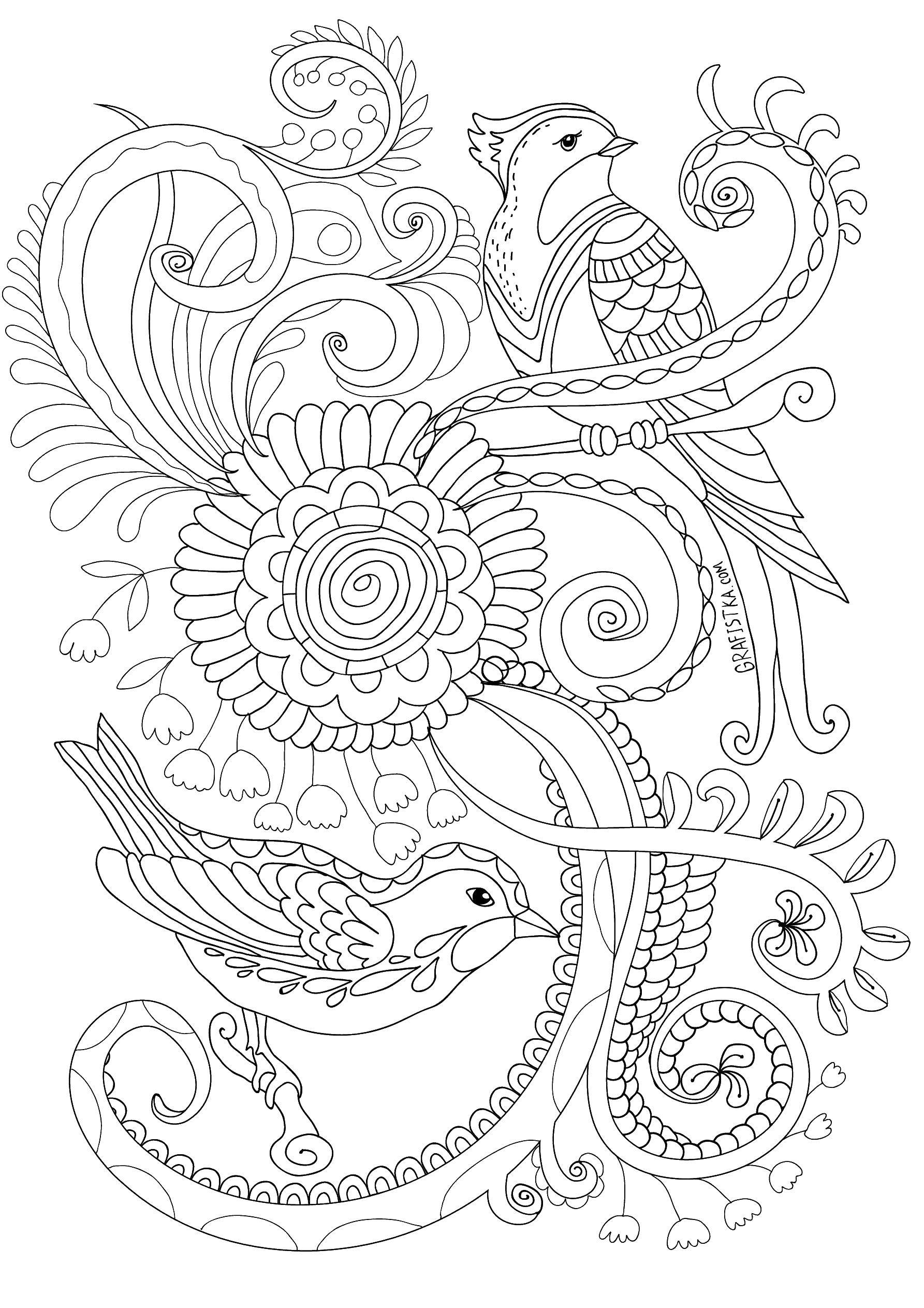 Раскраска Птица на ветке Скачать птицы.  Распечатать ,раскраски антистресс,