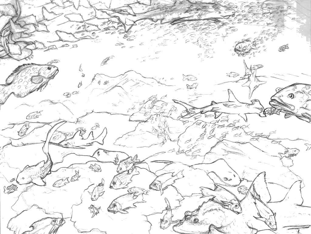 Раскраска Рыбы в море Скачать рыбы, море, вода, рисунок.  Распечатать ,рыбы,