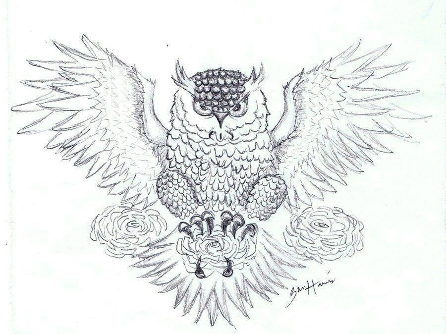 Раскраска Сова летит Скачать совы, птицы.  Распечатать ,раскраски,