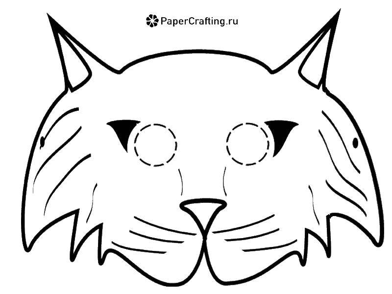 Раскраска Маска кошки Скачать маска, кошка, глаза, уши.  Распечатать ,маски,