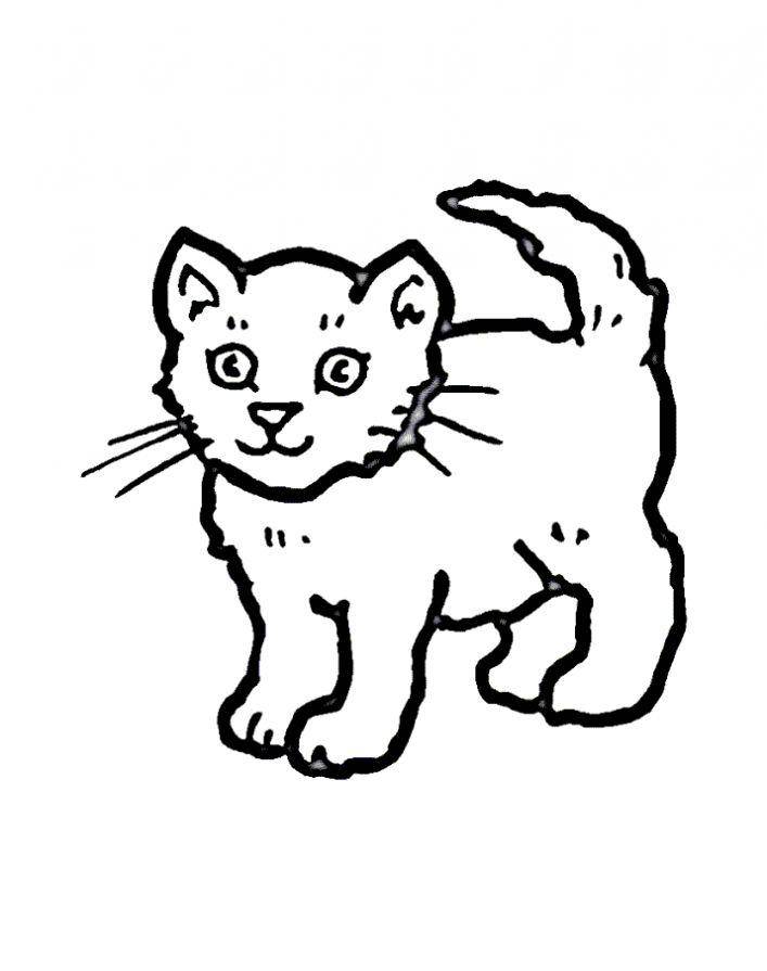 Раскраска Рисунок кошечки Скачать кошка, кот.  Распечатать ,домашние животные,