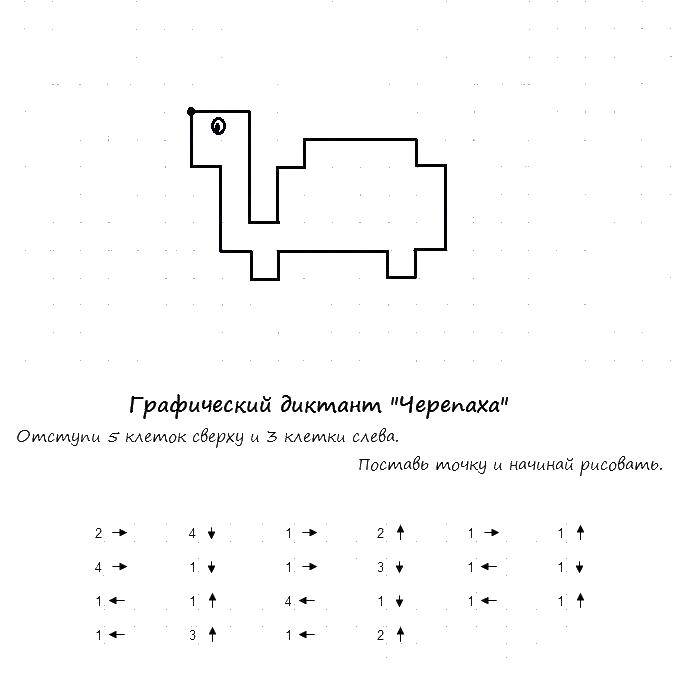 Раскраска Графический диктант черепаха Скачать черепаха, для детей от 4 лет.  Распечатать ,графический диктант,
