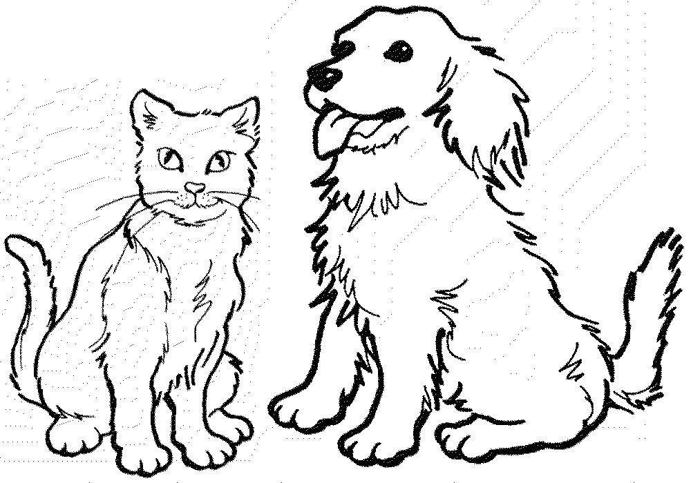Раскраска Кошка и собака Скачать собака, кошка, хвост.  Распечатать ,раскраски,