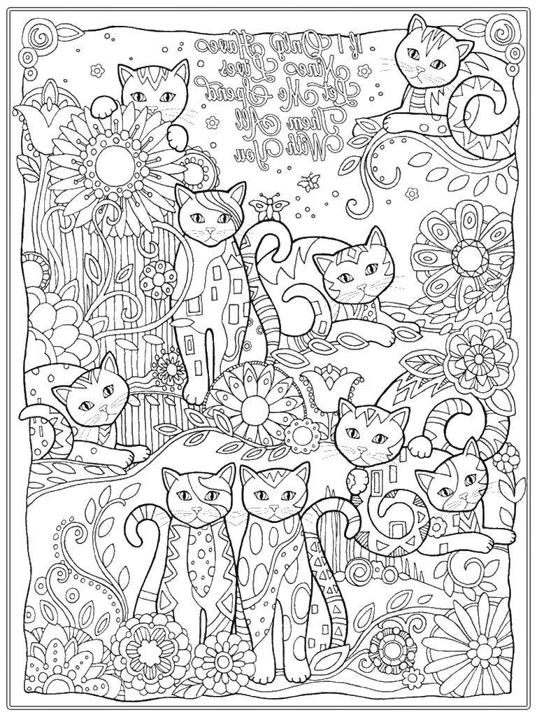Раскраска Кошки и цветы Скачать кошки, цветы, узоры.  Распечатать ,Для подростков,