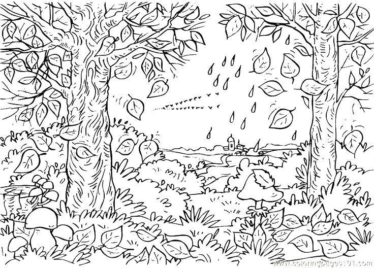 Раскраска Дождь в осеннем лесочке Скачать Осень, листья.  Распечатать ,Осень,