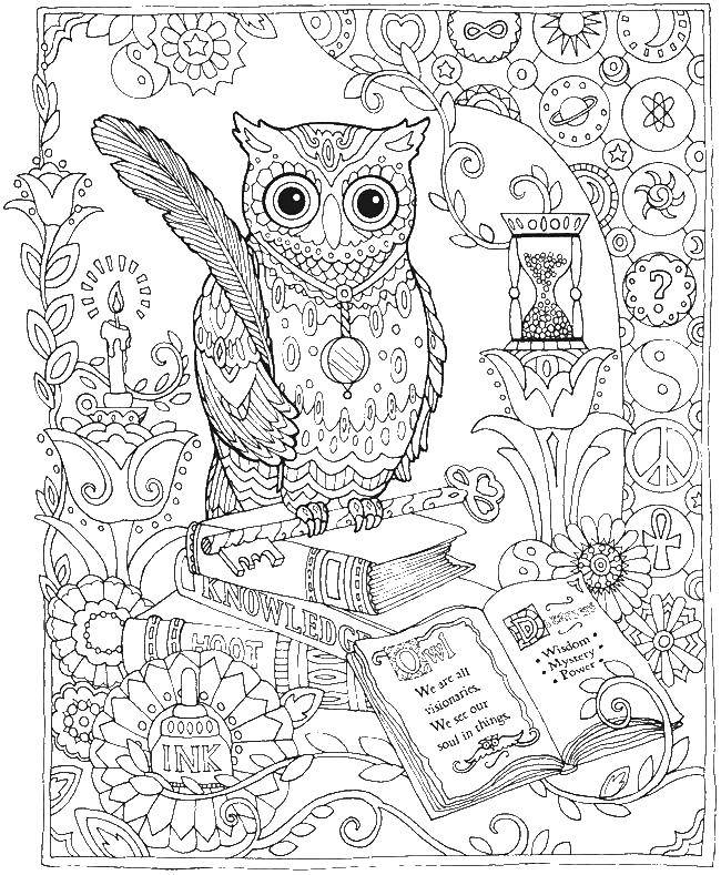 Раскраска Сова и книги Скачать сова, книги, перо.  Распечатать ,птицы,