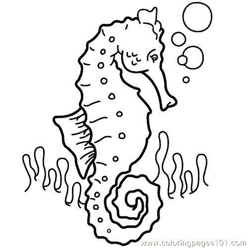 Раскраска Морской конек и пузырики Скачать морской конек, водоросли, пузыри.  Распечатать ,морские животные,
