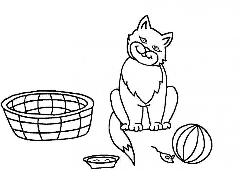 Раскраска Рисунок кот играет с мышкой Скачать кошка, кот.  Распечатать ,домашние животные,
