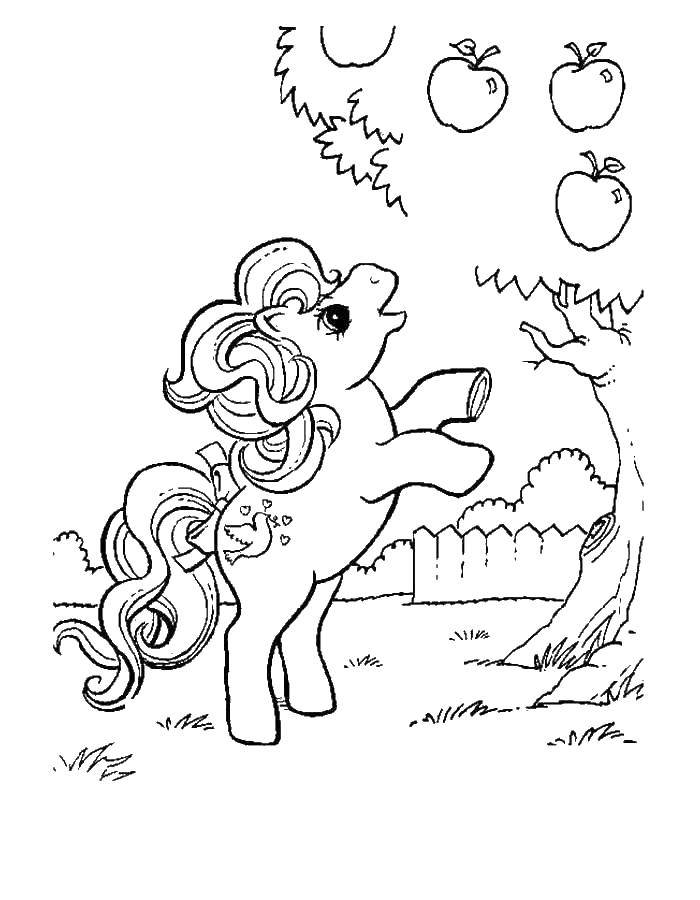 Раскраска Поняшка хочет яблочко Скачать Пони, "My little pony".  Распечатать ,Пони,