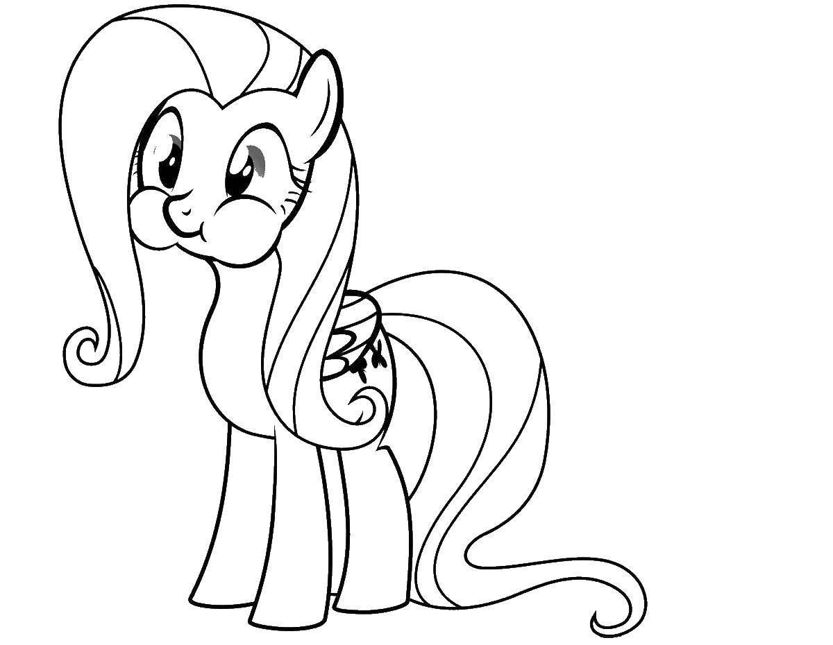 Раскраска Пони жуёт Скачать Пони, "My little pony".  Распечатать ,Пони,