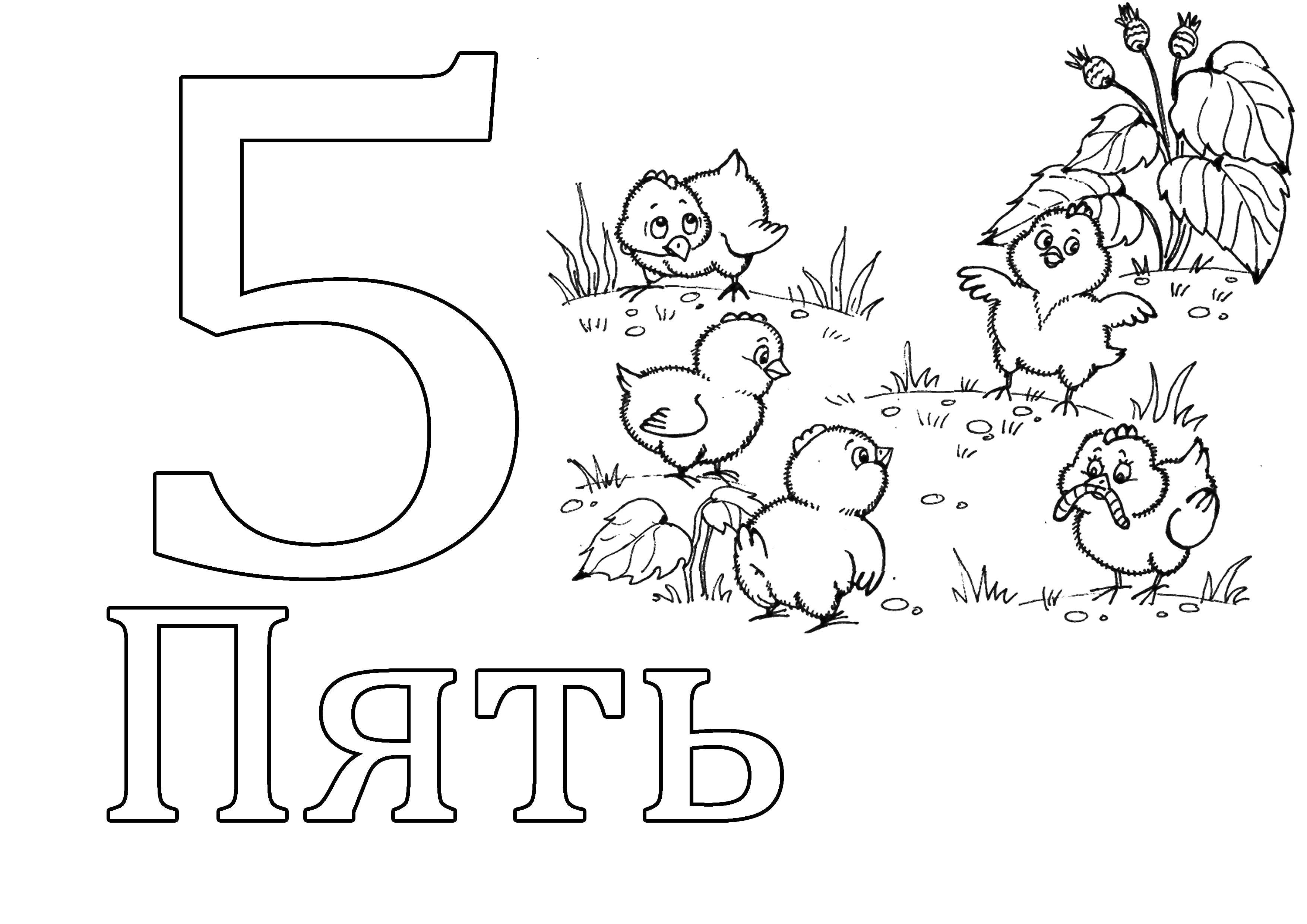 Раскраска Цифра 5 Скачать Цифры, счёт, числа.  Распечатать ,раскраски цифры,