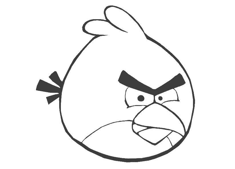 Раскраска Птичка из angry birds Скачать Игры, "Angry Birds".  Распечатать ,Персонаж из игры,