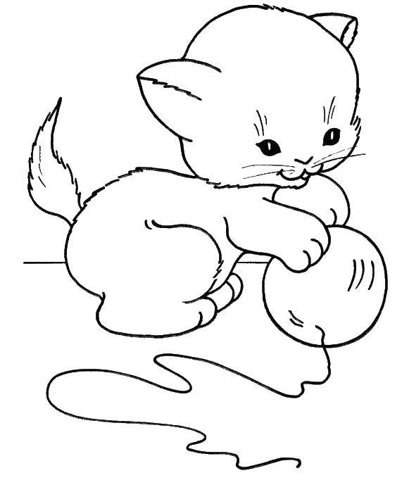 Раскраска Котёнок играет с клубочком Скачать Животные, котёнок.  Распечатать ,Животные,