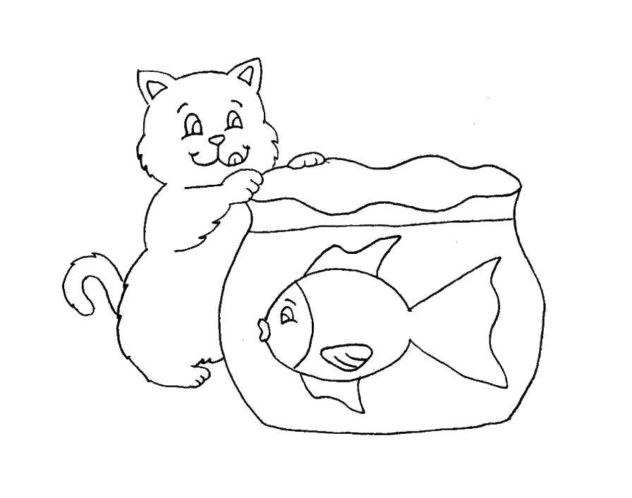 Раскраска Котик мечтает о рыбке Скачать Животные, котёнок.  Распечатать ,котики,