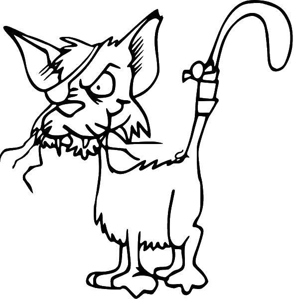 Раскраска Одноглазый кот Скачать кот, кошка.  Распечатать ,Контуры из мультфильмов,