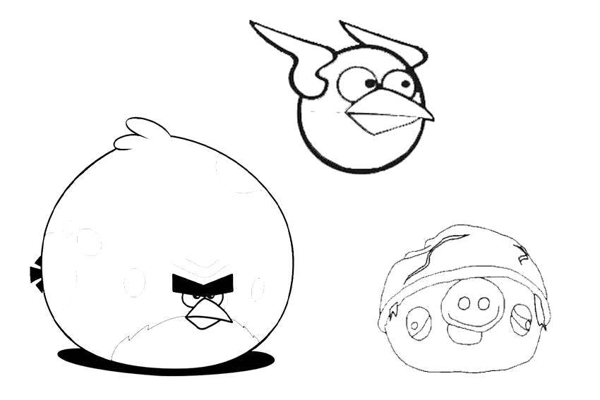 Раскраска Птичка сбила свинью из angry birds  Скачать Игры, Angry Birds .  Распечатать ,angry birds,