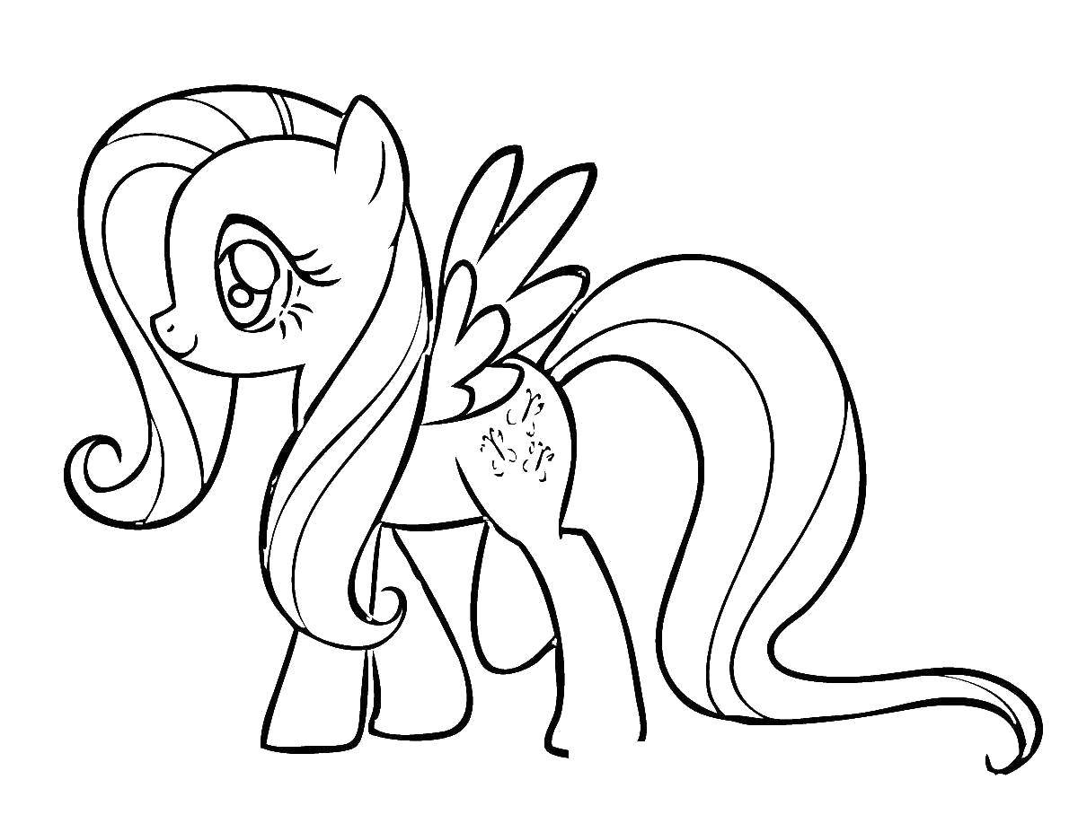 Раскраска Пони из my little pony  Скачать Пони, My little pony .  Распечатать ,мой маленький пони,