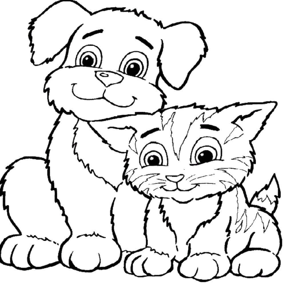 Раскраска Котенок и щенок Скачать Животные, котёнок, щенок.  Распечатать ,раскраски,
