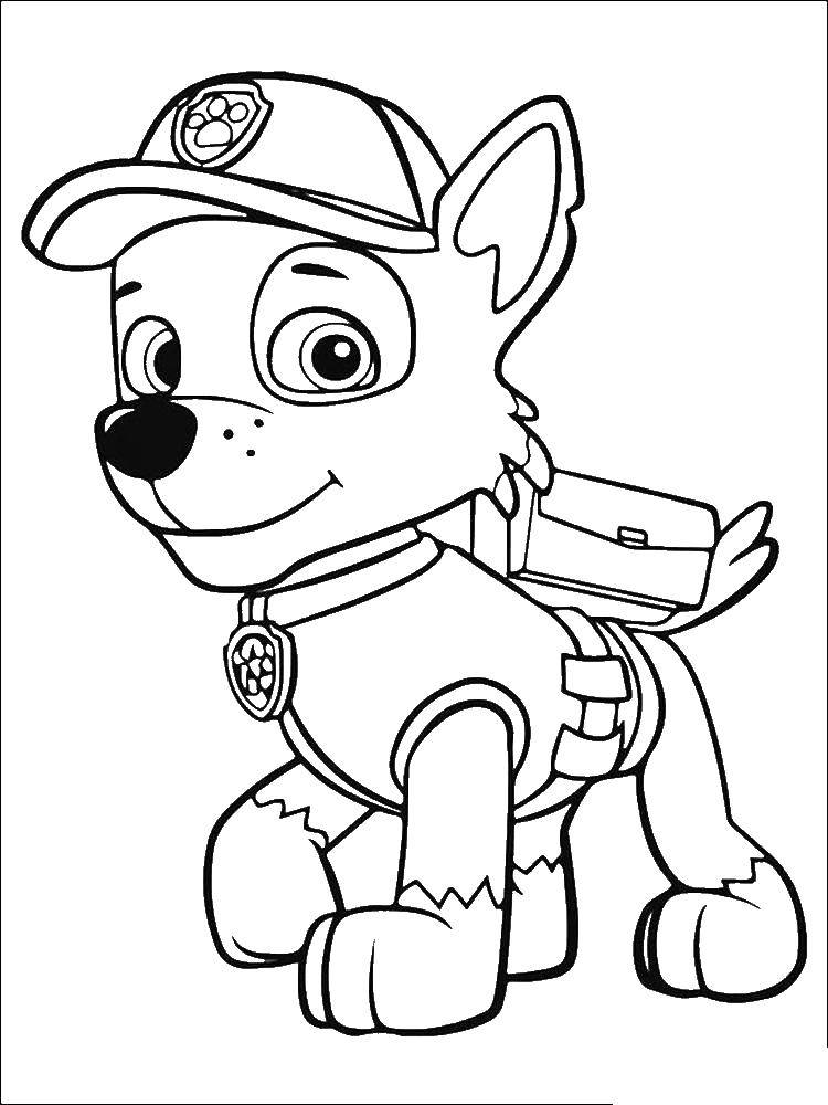 Раскраска рокки дворняжка в зеленом комбинезоне и бейсболке Скачать Щенячий патруль, Зума, Рокки.  Распечатать ,щенячий патруль,