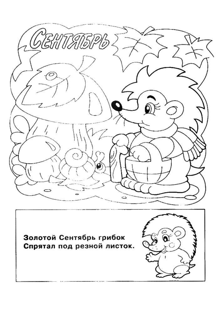 Раскраска Ежик и первый сентябрь Скачать ежик, первый сентябрь.  Распечатать ,школьные принадлежности,