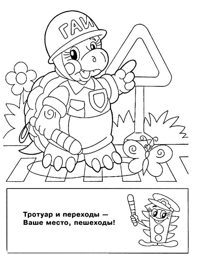 Раскраска Черепаха идет по пешеходу Скачать Черепаха, пешеход.  Распечатать ,правила дорожного движения,