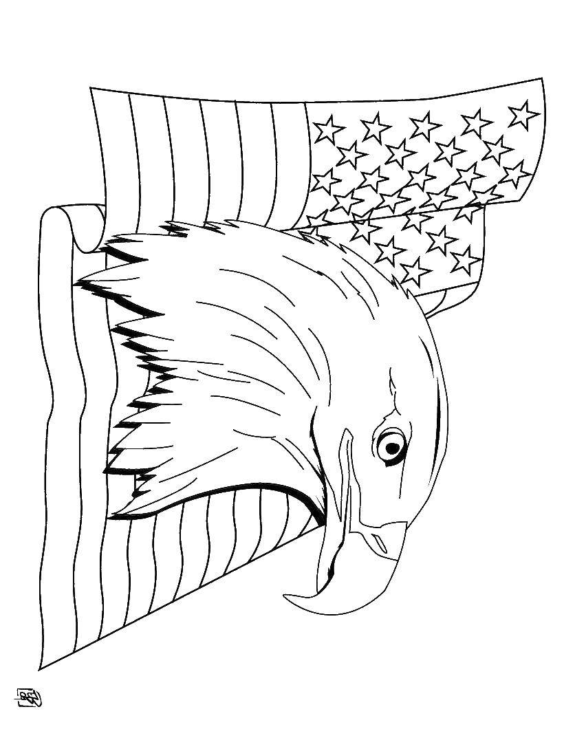 Раскраска Орёл и флаг сша Скачать Америка, США, флаг.  Распечатать ,США,
