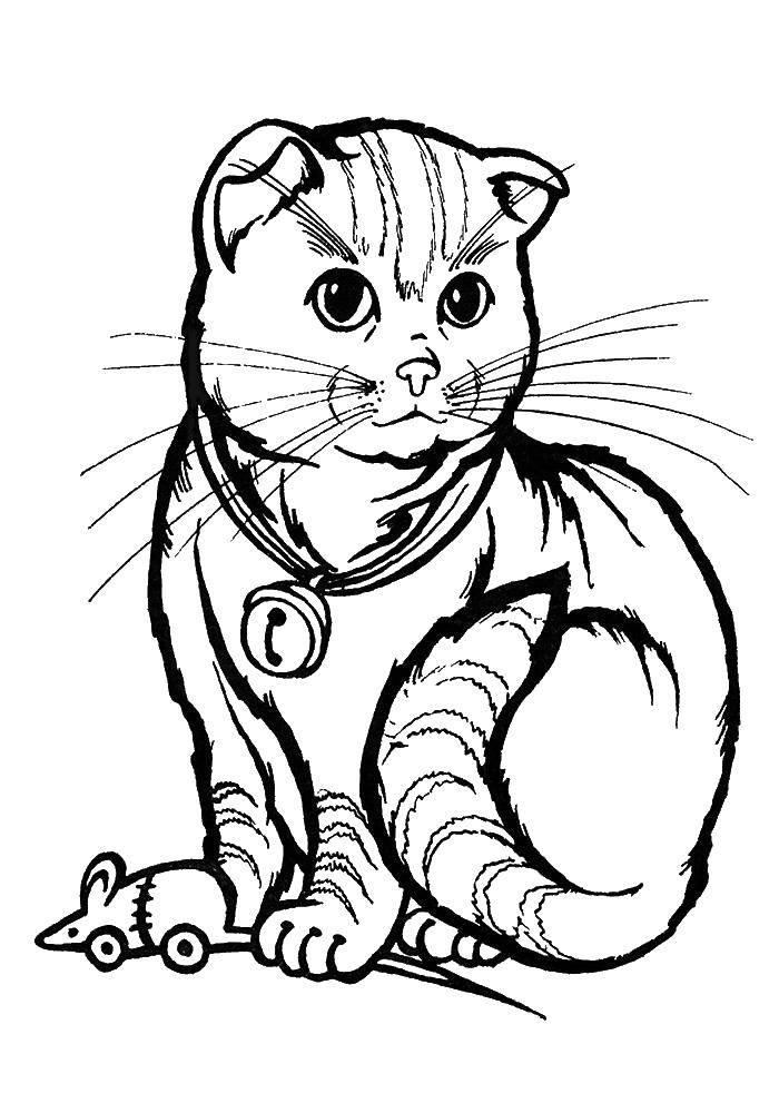 Раскраска Кот поймал игрушечную мышку Скачать кот, мылка.  Распечатать ,котята и щенки,