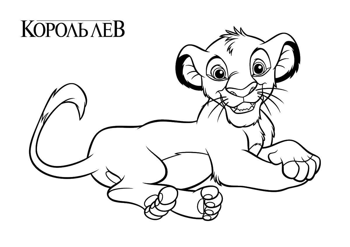 Раскраска Король лев симба Скачать король лев, Симба.  Распечатать ,Король лев,