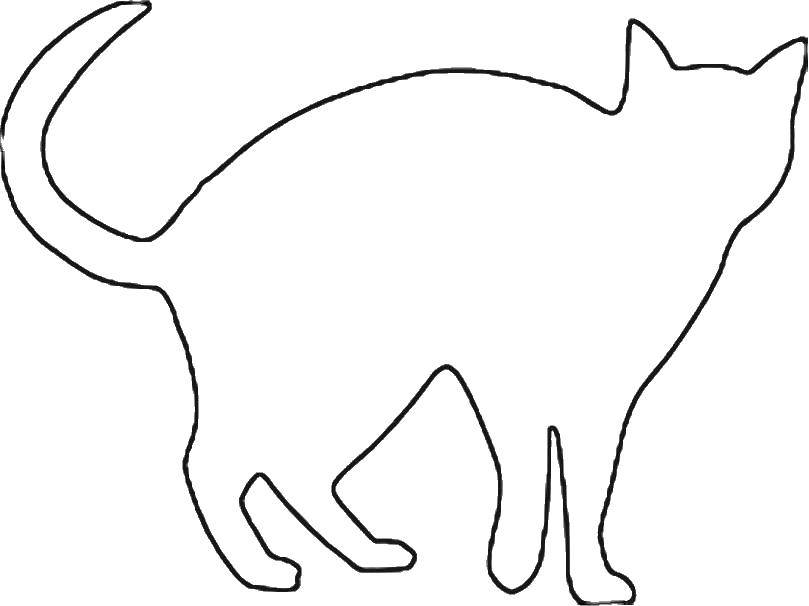Раскраска Контур кошки Скачать контур, кошка.  Распечатать ,Контур кошки для вырезания,