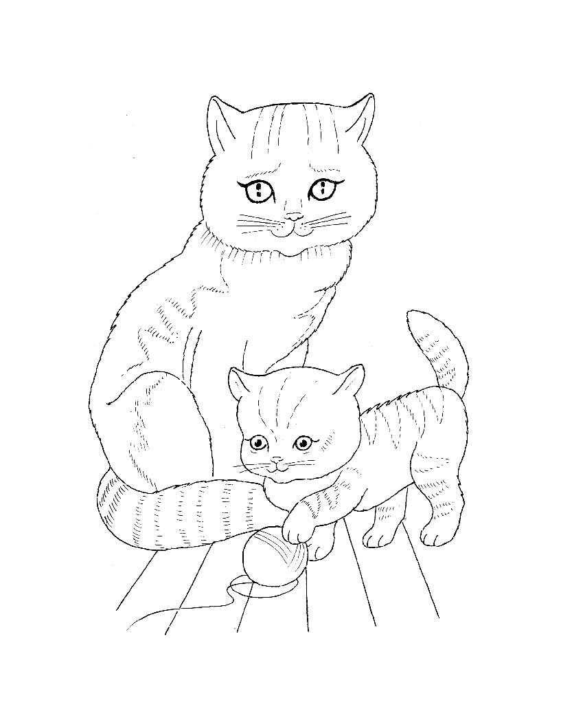 Раскраска Кошка с котенком и клубком Скачать кошка, котенок, клубок.  Распечатать ,домашние животные,