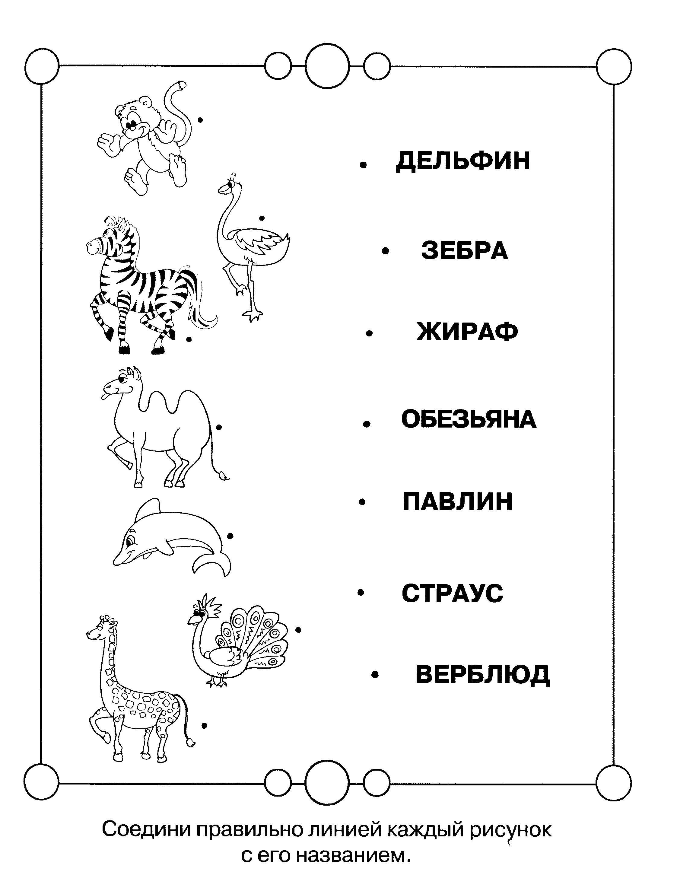 Раскраска Соедини линиями Скачать Обучающая раскраска, логика.  Распечатать ,ребусы для детей,