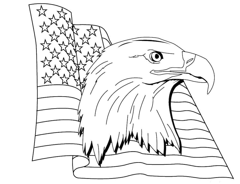 Раскраска Орел и флаг Скачать США, Америка, флаг, орел.  Распечатать ,США,