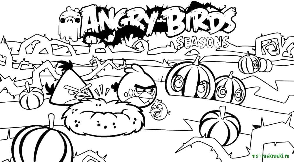 Раскраска Andry birds, игра Скачать Angry Birds, персонаж из игры.  Распечатать ,Персонаж из игры,