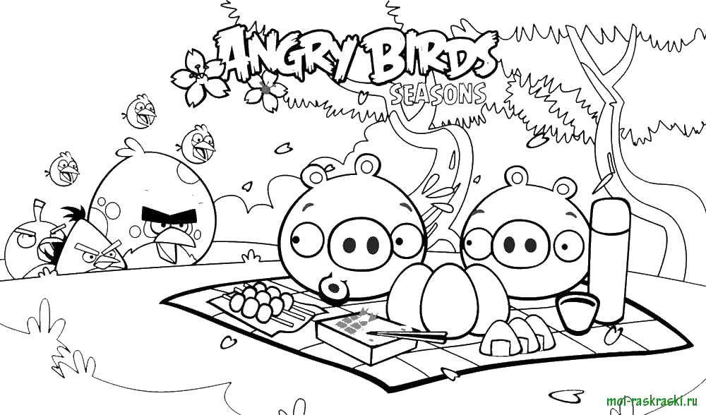 Раскраска Angry birds, игра, пикник Скачать Angry Birds, персонаж из игры.  Распечатать ,Персонаж из игры,
