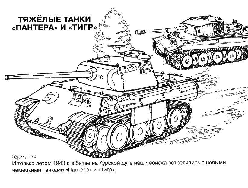 Раскраска Пантера и тигр Скачать Военное, машины, танк, оружие.  Распечатать ,военное,