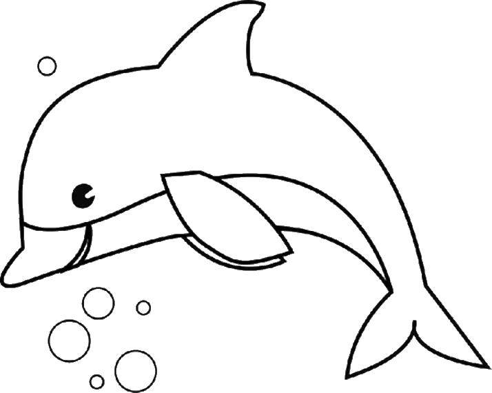 Раскраска Дельфин и пузыри Скачать дельфин, пузыри.  Распечатать ,дельфин,