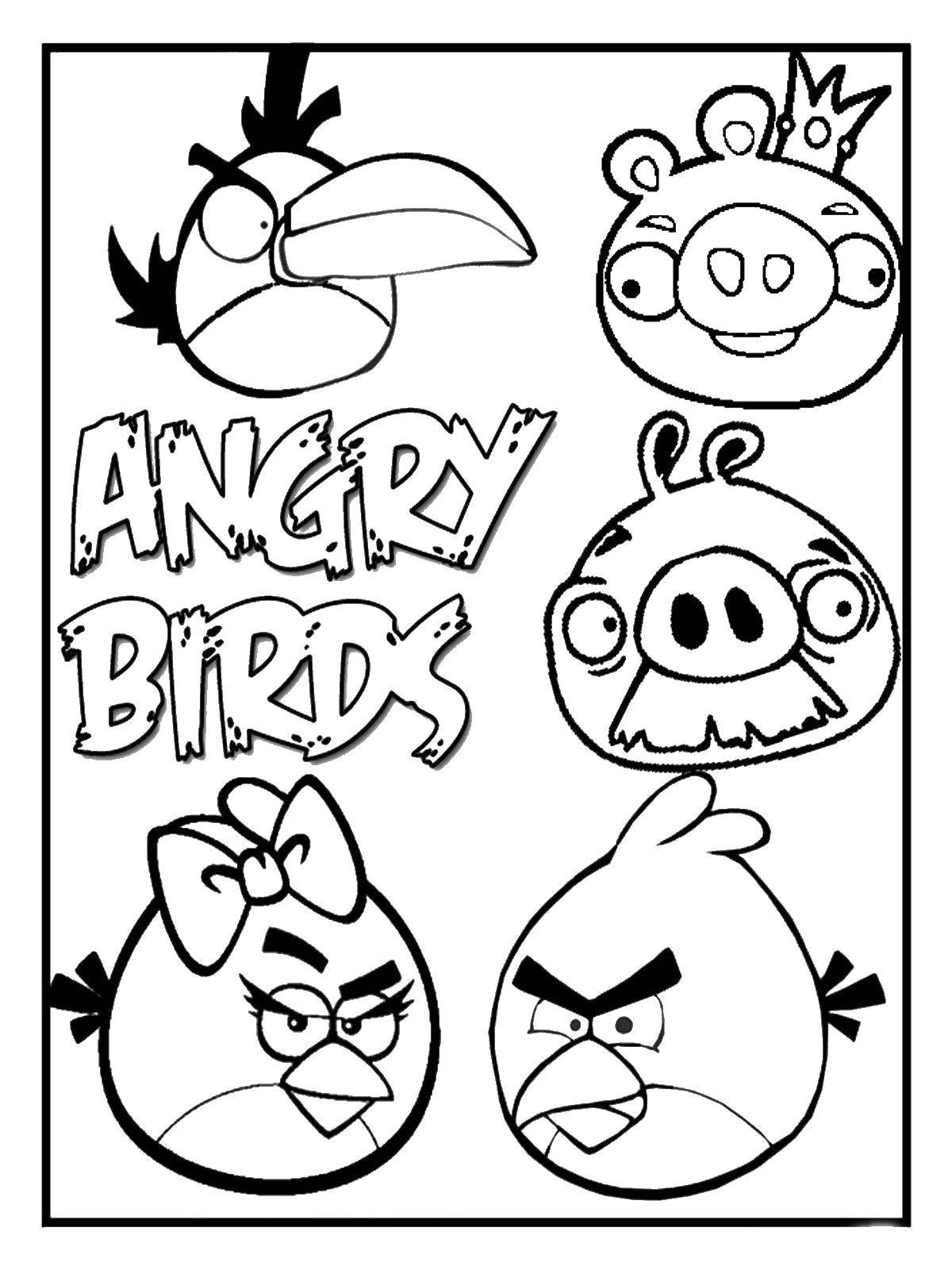 Раскраска Angry birds и король свин Скачать angry birds, энгри бердс.  Распечатать ,angry birds,