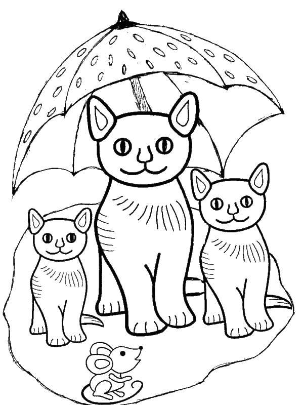 Раскраска Кошки под зонтом с мышкой Скачать кошки.  Распечатать ,Коты и котята,