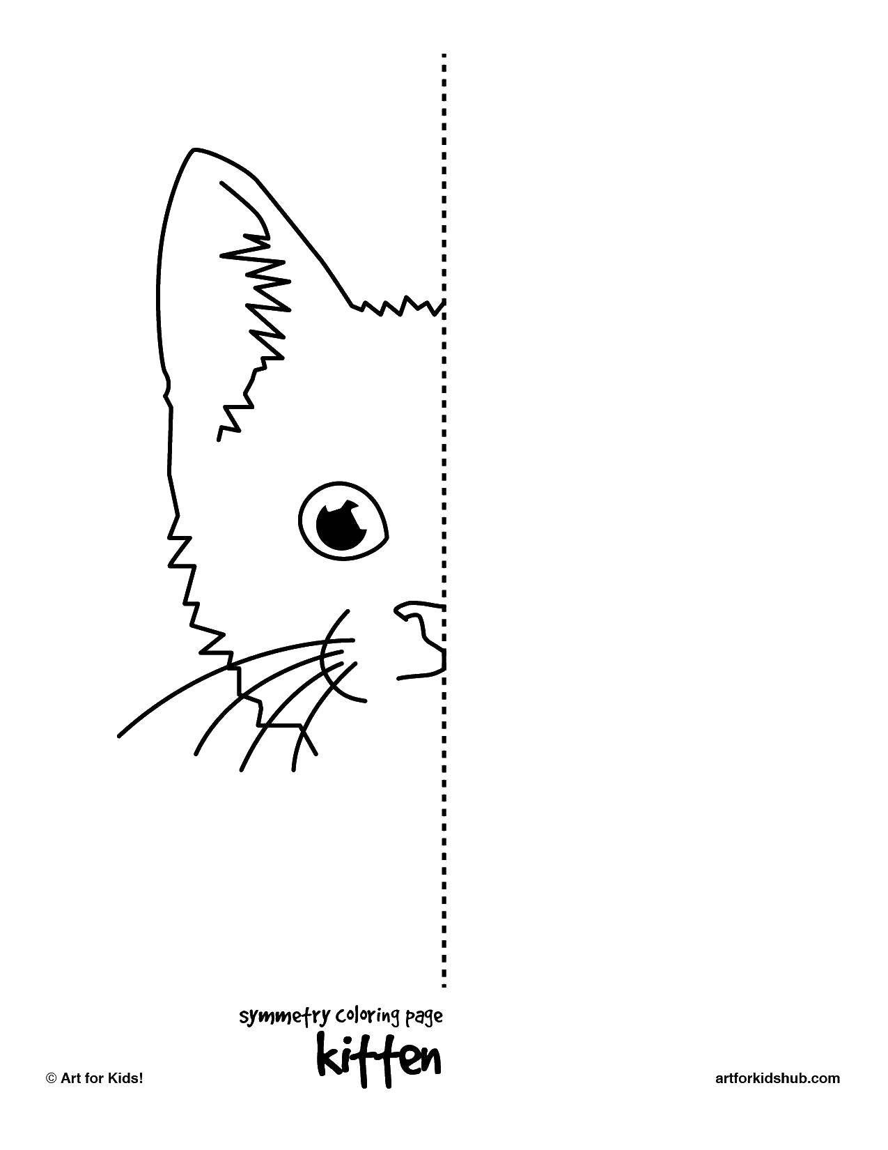 Раскраска Котенок Скачать ,котенок,раскраска,.  Распечатать 