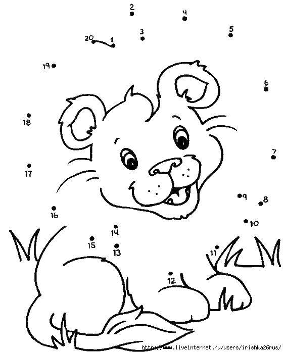 Название: Раскраска Дорисуй львенка. Категория: нарисуй по цифрам. Теги: дорисуй, по цифрам, львенок.