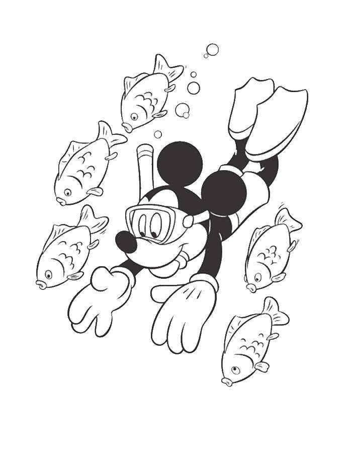 Название: Раскраска Микки маус с рыбками. Категория: микки маус. Теги: микки мау, рыбки, Дисней.