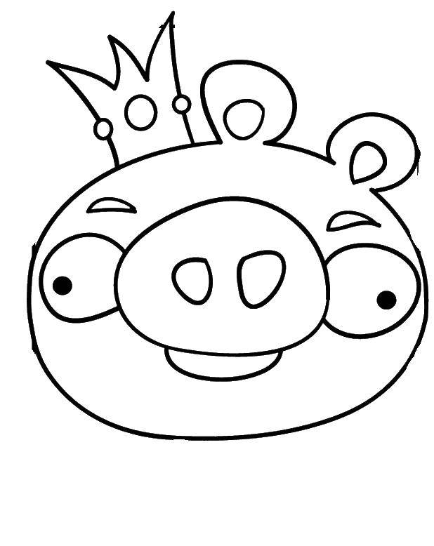 Название: Раскраска Персонаж angry birds. Категория: angry birds. Теги: энги бердс, птицы, игры, angry birds.